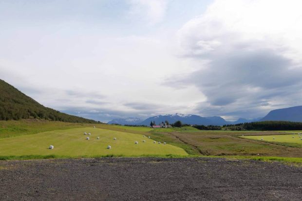 L1001403 ganzseitig darstellen