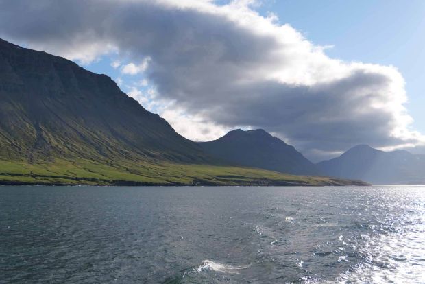 L1001176 ganzseitig darstellen