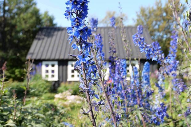 L1001255 ganzseitig darstellen